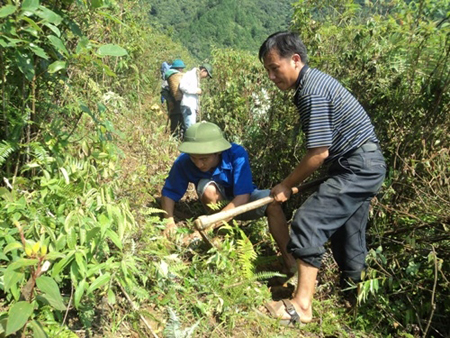 Đoàn viên thanh niên Chi đoàn Văn phòng HĐND - UBND huyện Trạm Tấu tham gia trồng cây sơn tra tại thôn Tà Xùa, xã Bản Công.